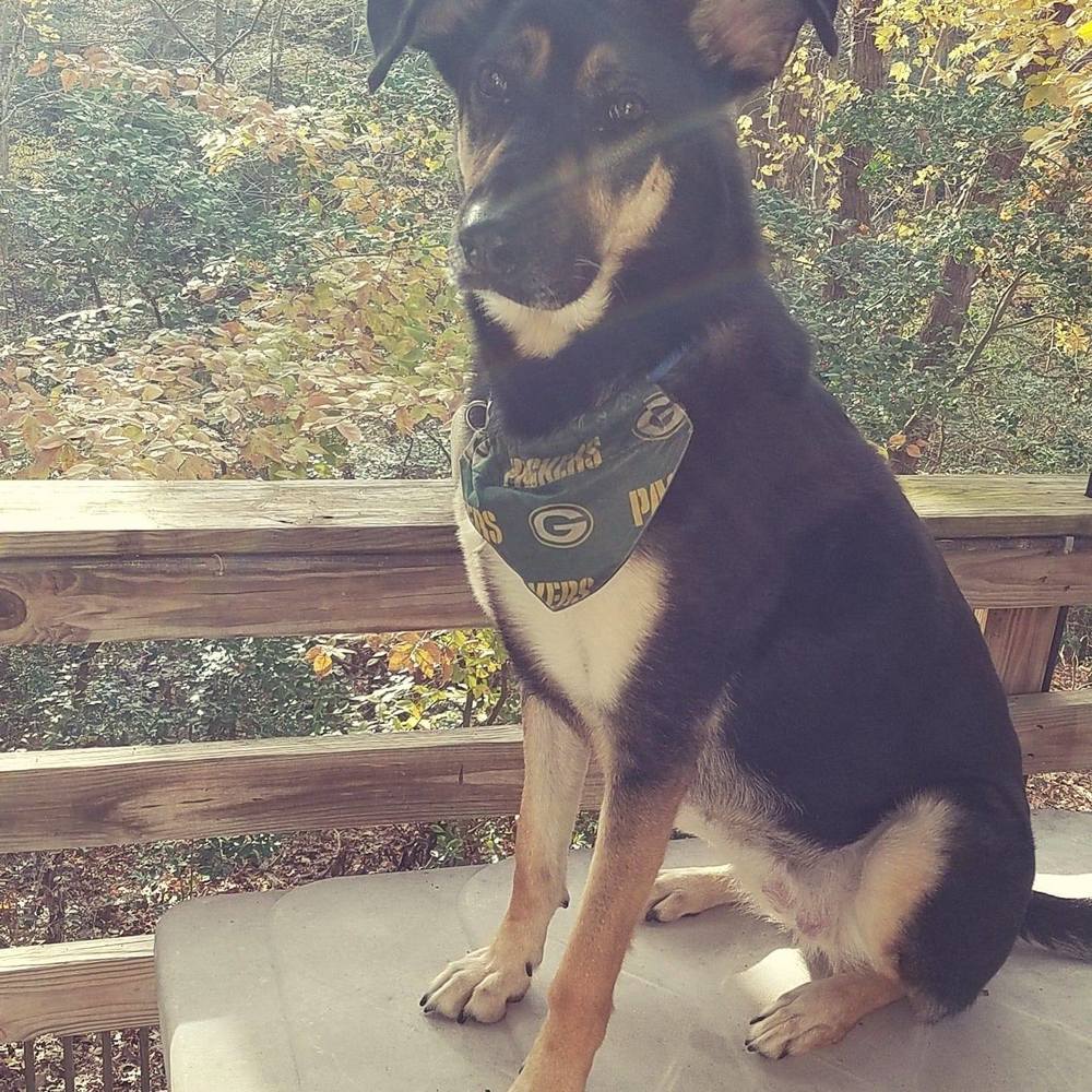 Meet your Posher, Molly